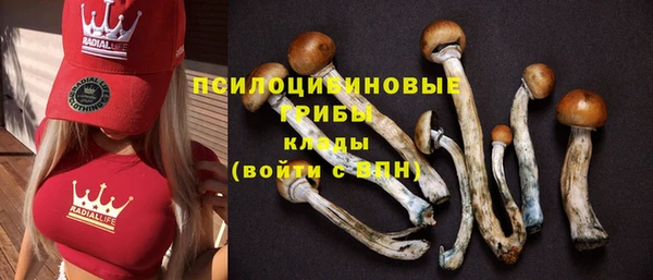 бутират Баксан