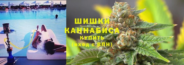ГАЛЛЮЦИНОГЕННЫЕ ГРИБЫ Балахна