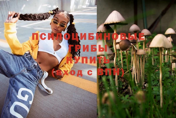 герыч Протвино