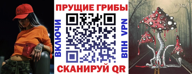 цены Знаменск Псилоцибиновые грибы Psilocybine cubensis